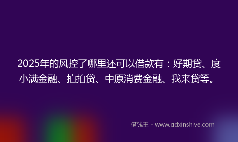 2025年的风控了哪里还可以借款有：好期贷、度小满金融、拍拍贷、中原消费金融、我来贷等。