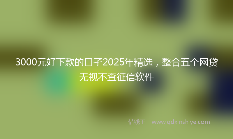 3000元好下款的口孑2025年精选，整合五个网贷无视不查征信软件