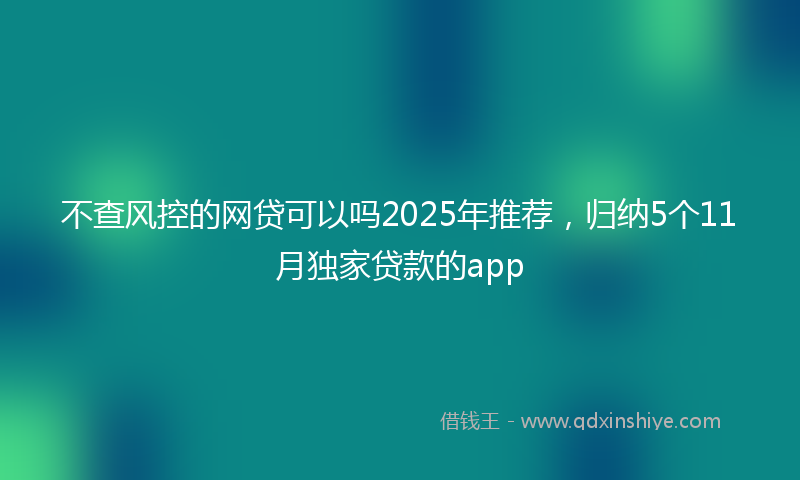 不查风控的网贷可以吗2025年推荐，归纳5个11月独家贷款的app