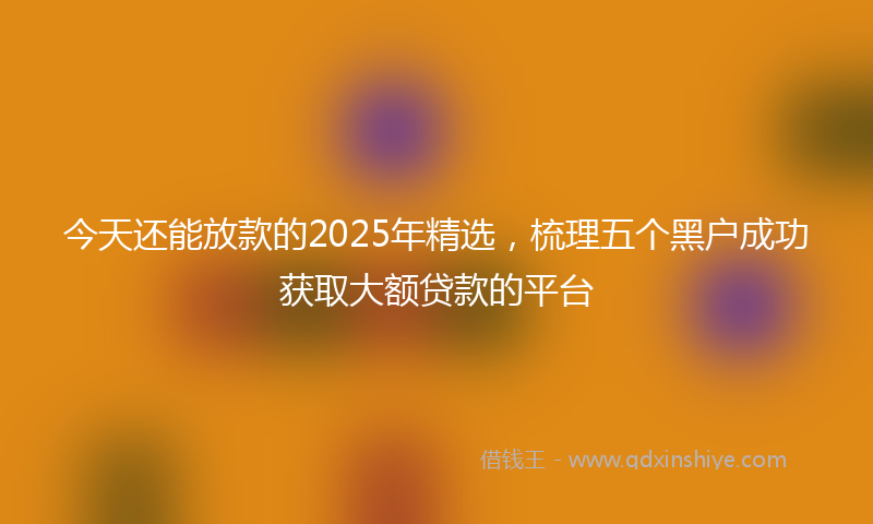 今天还能放款的2025年精选，梳理五个黑户成功获取大额贷款的平台