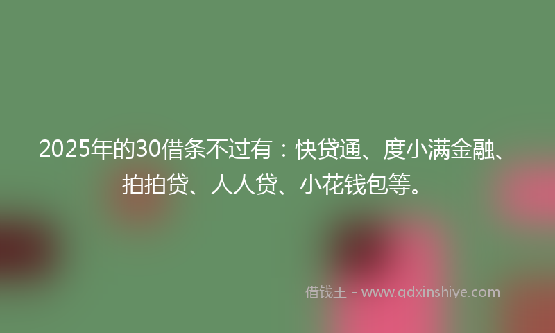 2025年的30借条不过有：快贷通、度小满金融、拍拍贷、人人贷、小花钱包等。