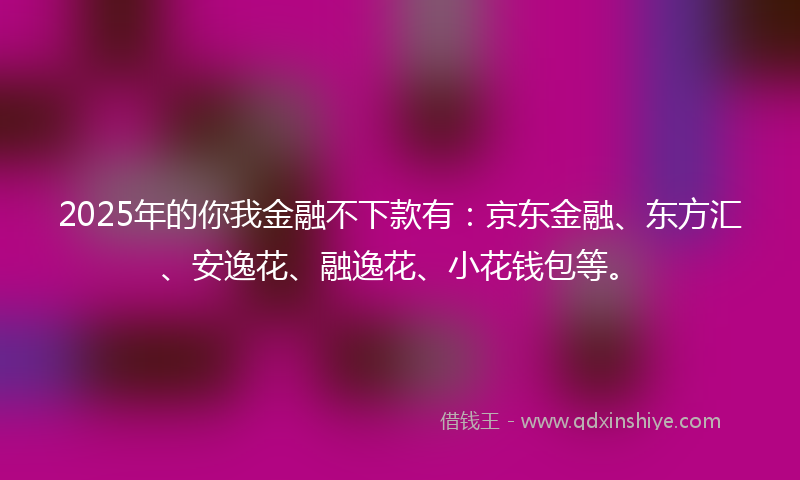 2025年的你我金融不下款有：京东金融、东方汇、安逸花、融逸花、小花钱包等。