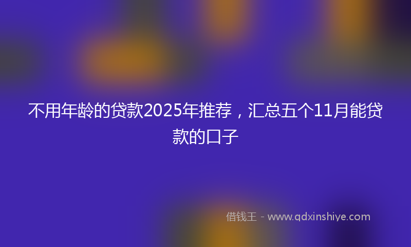 不用年龄的贷款2025年推荐，汇总五个11月能贷款的口子