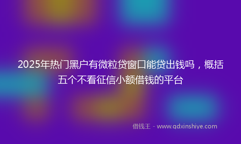 2025年热门黑户有微粒贷窗口能贷出钱吗，概括五个不看征信小额借钱的平台