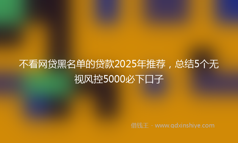 不看网贷黑名单的贷款2025年推荐，总结5个无视风控5000必下口子