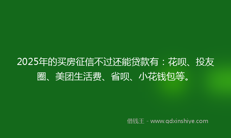 2025年的买房征信不过还能贷款有：花呗、投友圈、美团生活费、省呗、小花钱包等。
