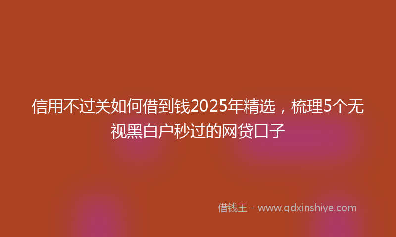 信用不过关如何借到钱2025年精选，梳理5个无视黑白户秒过的网贷口子
