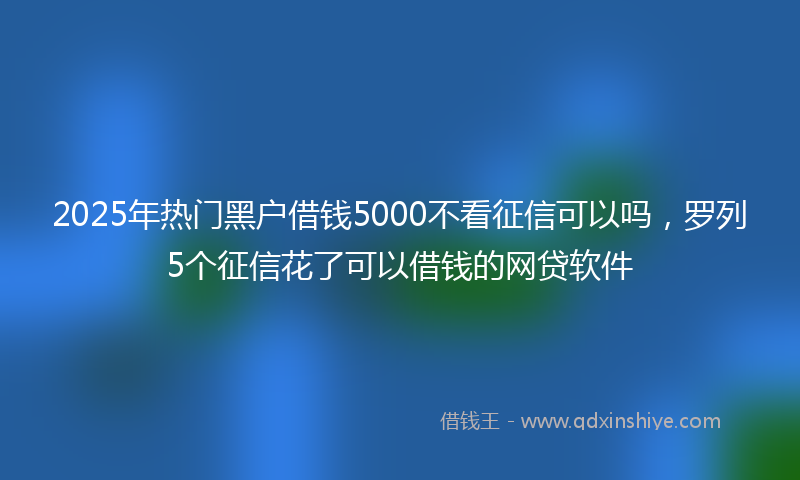 2025年热门黑户借钱5000不看征信可以吗，罗列5个征信花了可以借钱的网贷软件