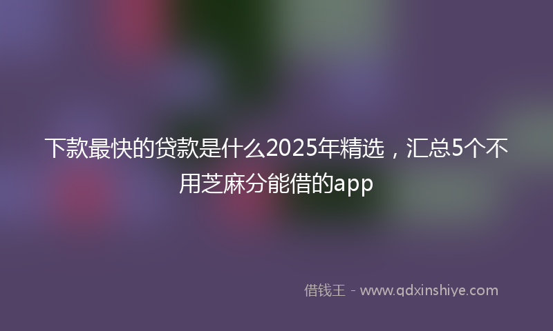 下款最快的贷款是什么2025年精选，汇总5个不用芝麻分能借的app