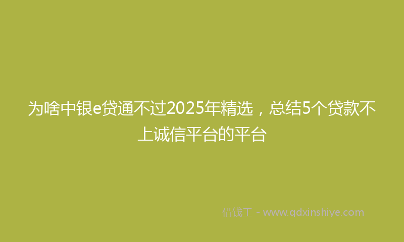 为啥中银e贷通不过2025年精选，总结5个贷款不上诚信平台的平台