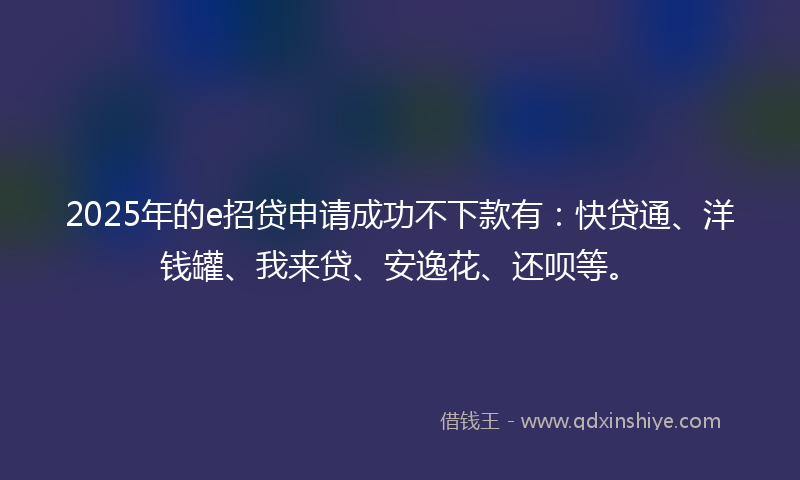 2025年的e招贷申请成功不下款有：快贷通、洋钱罐、我来贷、安逸花、还呗等。