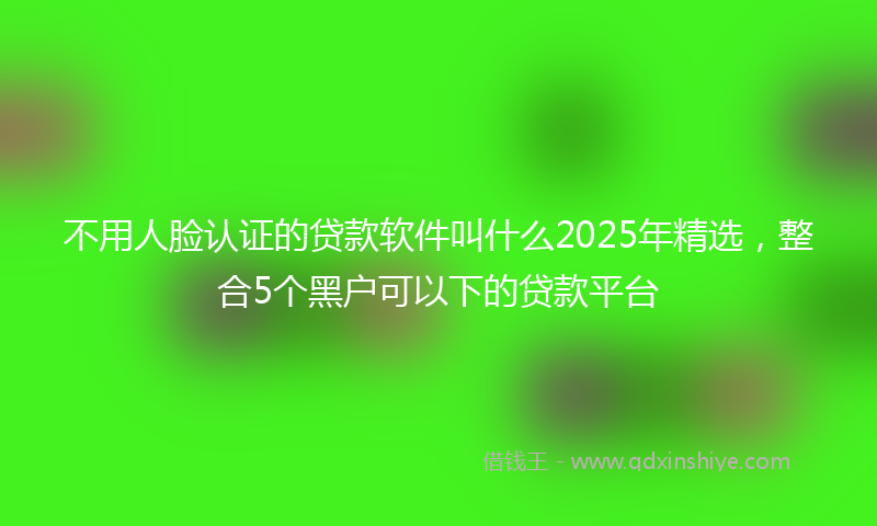 不用人脸认证的贷款软件叫什么2025年精选，整合5个黑户可以下的贷款平台