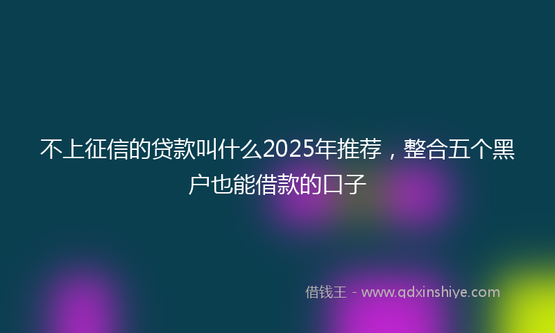 不上征信的贷款叫什么2025年推荐，整合五个黑户也能借款的口子