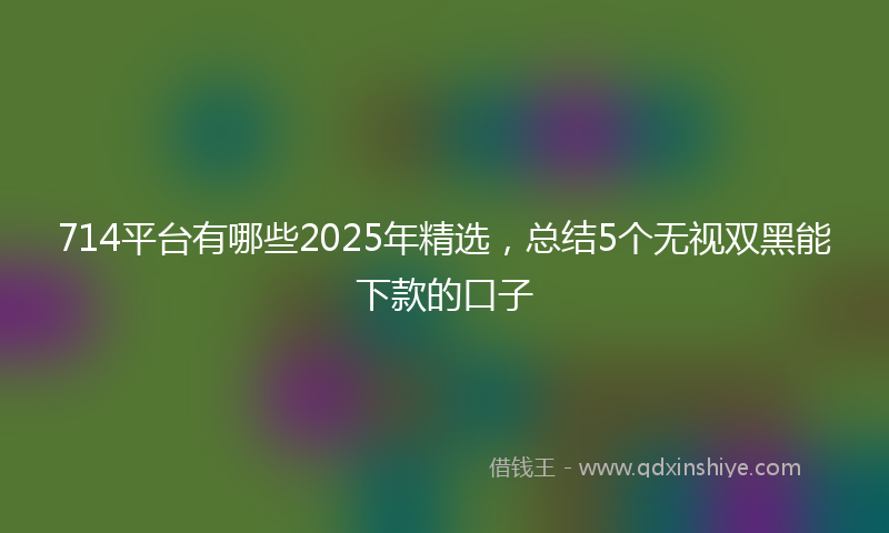 714平台有哪些2025年精选，总结5个无视双黑能下款的口子