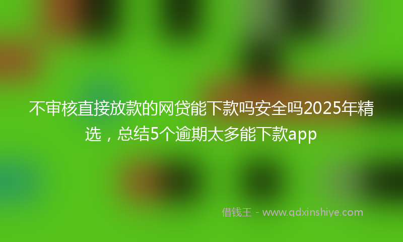 不审核直接放款的网贷能下款吗安全吗2025年精选，总结5个逾期太多能下款app