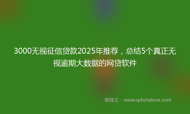 3000无视征信贷款2025年推荐，总结5个真正无视逾期大数据的网贷软件