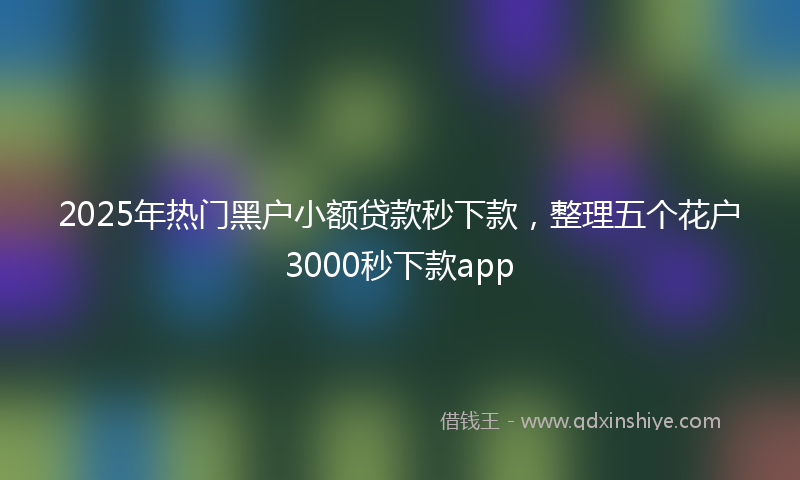2025年热门黑户小额贷款秒下款，整理五个花户3000秒下款app