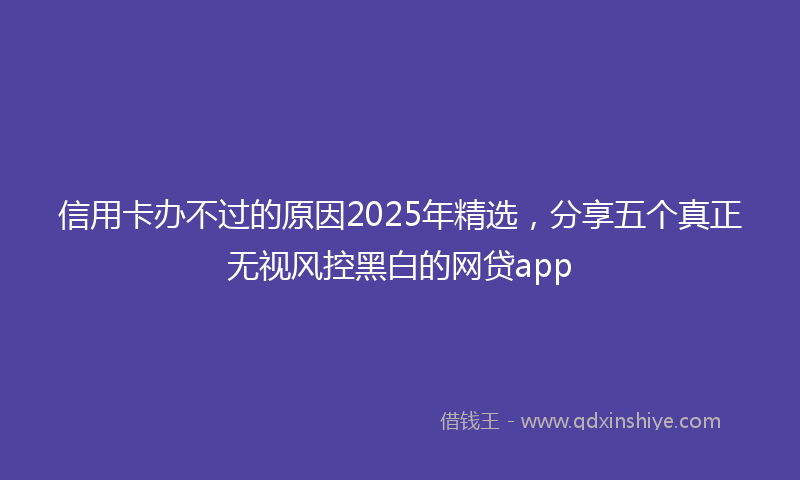 信用卡办不过的原因2025年精选，分享五个真正无视风控黑白的网贷app