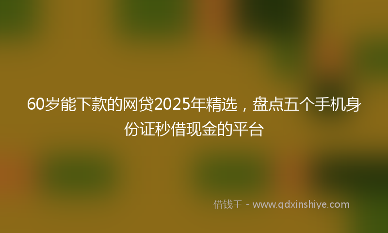 60岁能下款的网贷2025年精选，盘点五个手机身份证秒借现金的平台