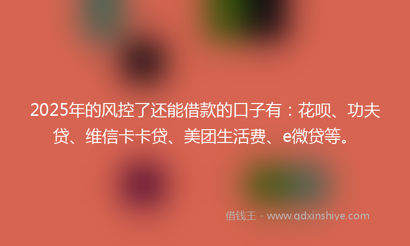 2025年的风控了还能借款的口子有：花呗、功夫贷、维信卡卡贷、美团生活费、e微贷等。