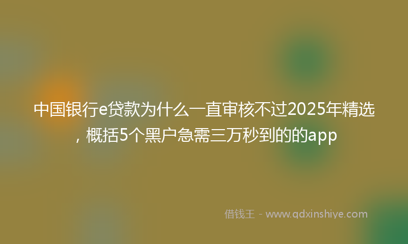 中国银行e贷款为什么一直审核不过2025年精选，概括5个黑户急需三万秒到的的app