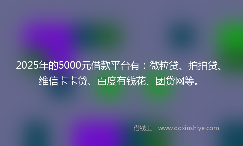 2025年的5000元借款平台有：微粒贷、拍拍贷、维信卡卡贷、百度有钱花、团贷网等。