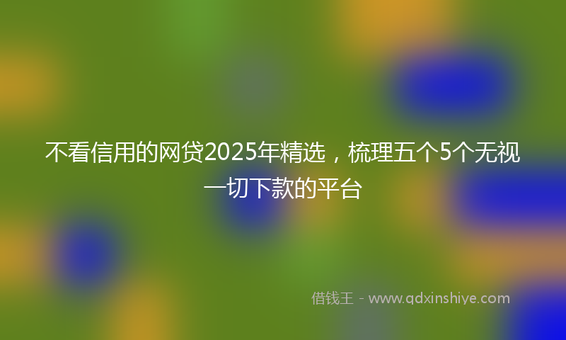 不看信用的网贷2025年精选，梳理五个5个无视一切下款的平台