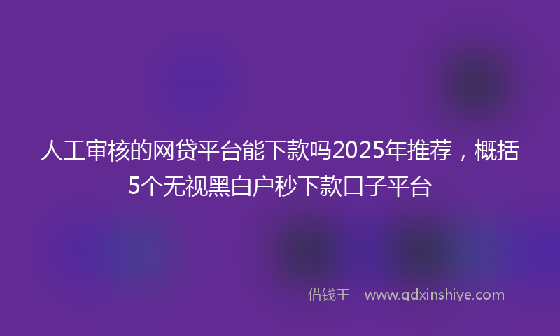 人工审核的网贷平台能下款吗2025年推荐，概括5个无视黑白户秒下款口子平台