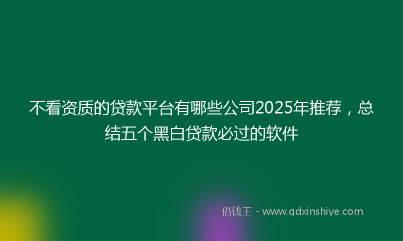 不看资质的贷款平台有哪些公司2025年推荐，总结五个黑白贷款必过的软件