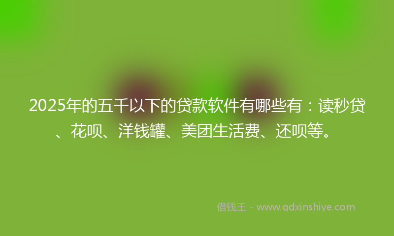 2025年的五千以下的贷款软件有哪些有：读秒贷、花呗、洋钱罐、美团生活费、还呗等。