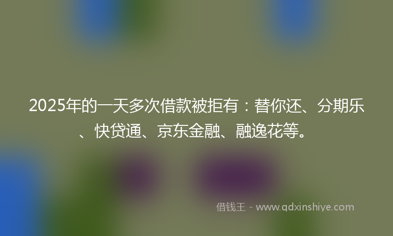2025年的一天多次借款被拒有：替你还、分期乐、快贷通、京东金融、融逸花等。