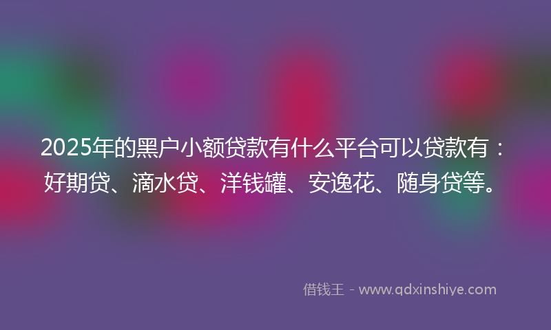 2025年的黑户小额贷款有什么平台可以贷款有：好期贷、滴水贷、洋钱罐、安逸花、随身贷等。