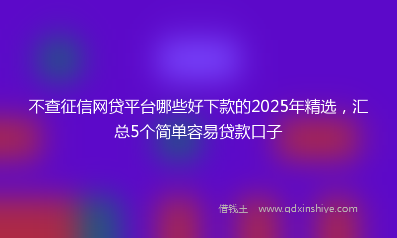 不查征信网贷平台哪些好下款的2025年精选，汇总5个简单容易贷款口子