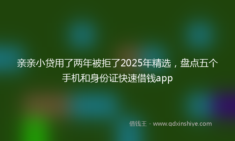亲亲小贷用了两年被拒了2025年精选，盘点五个手机和身份证快速借钱app