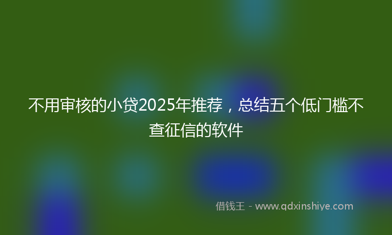 不用审核的小贷2025年推荐，总结五个低门槛不查征信的软件