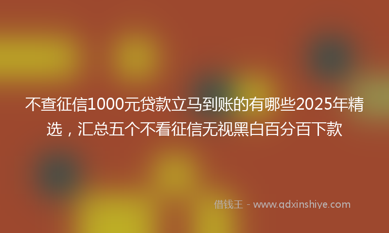不查征信1000元贷款立马到账的有哪些2025年精选，汇总五个不看征信无视黑白百分百下款