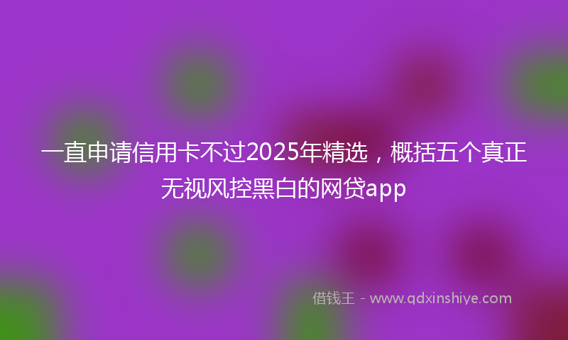 一直申请信用卡不过2025年精选，概括五个真正无视风控黑白的网贷app