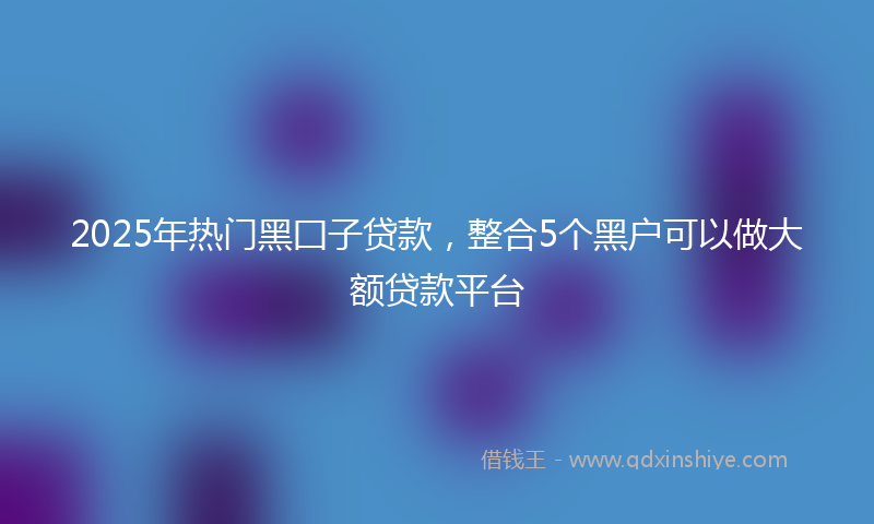 2025年热门黑囗子贷款，整合5个黑户可以做大额贷款平台