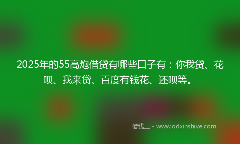 2025年的55高炮借贷有哪些口子有：你我贷、花呗、我来贷、百度有钱花、还呗等。