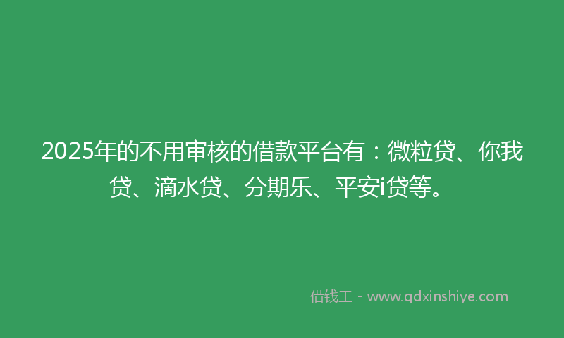 2025年的不用审核的借款平台有：微粒贷、你我贷、滴水贷、分期乐、平安i贷等。