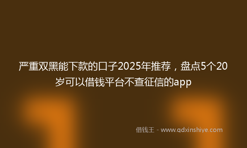 严重双黑能下款的口子2025年推荐，盘点5个20岁可以借钱平台不查征信的app