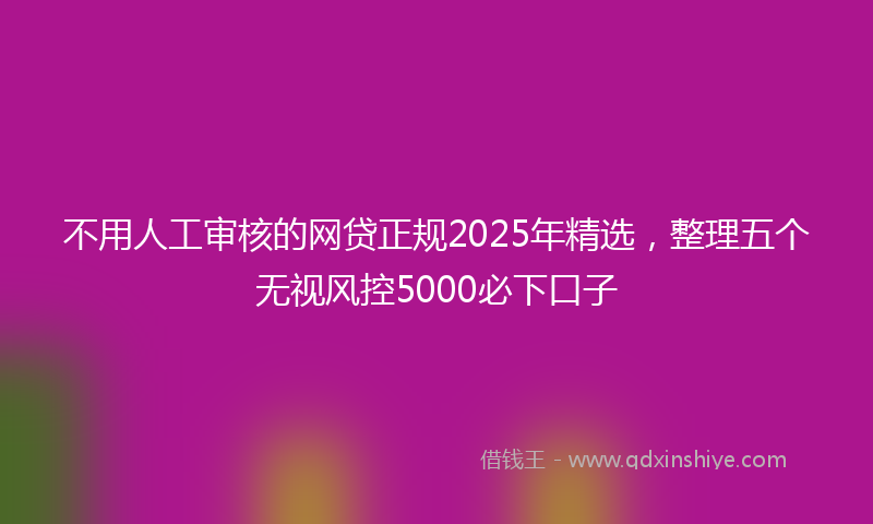 不用人工审核的网贷正规2025年精选，整理五个无视风控5000必下口子