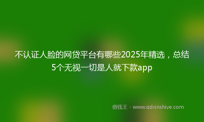 不认证人脸的网贷平台有哪些2025年精选，总结5个无视一切是人就下款app