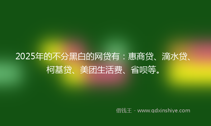 2025年的不分黑白的网贷有：惠商贷、滴水贷、柯基贷、美团生活费、省呗等。