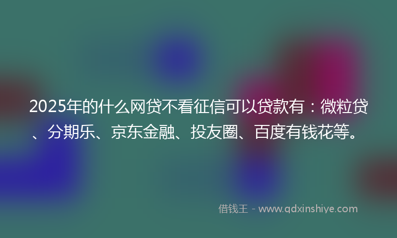 2025年的什么网贷不看征信可以贷款有：微粒贷、分期乐、京东金融、投友圈、百度有钱花等。