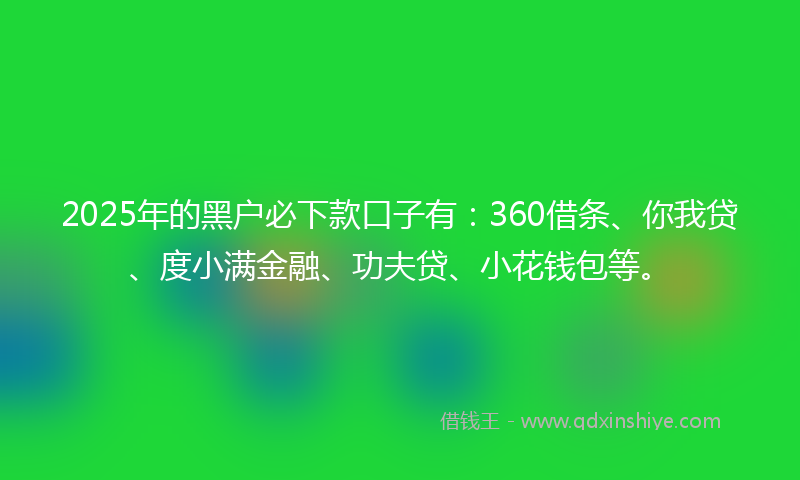 2025年的黑户必下款口子有：360借条、你我贷、度小满金融、功夫贷、小花钱包等。