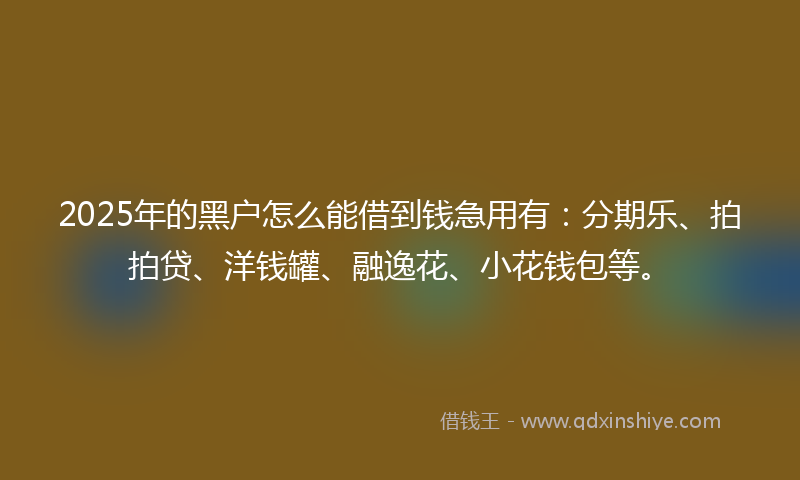 2025年的黑户怎么能借到钱急用有：分期乐、拍拍贷、洋钱罐、融逸花、小花钱包等。