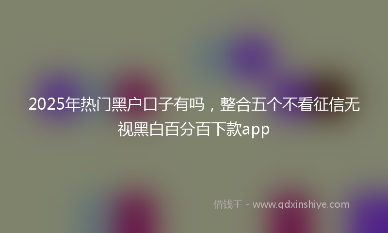 2025年热门黑户口子有吗，整合五个不看征信无视黑白百分百下款app