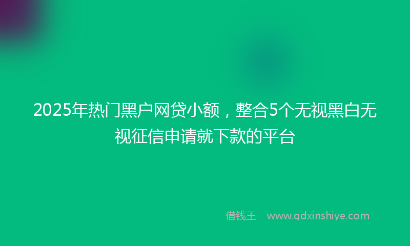 2025年热门黑户网贷小额，整合5个无视黑白无视征信申请就下款的平台