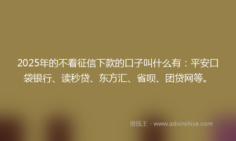 2025年的不看征信下款的口子叫什么有：平安口袋银行、读秒贷、东方汇、省呗、团贷网等。